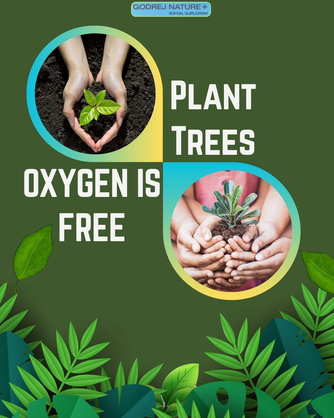 Banner Design